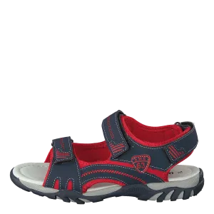433-0232 Navy Red