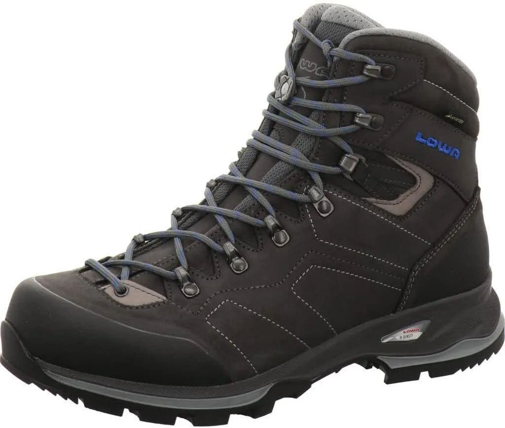 Lowa Men's Camino GTX Hiking Boot